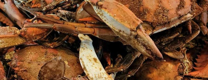 Fat Boys Crab Shack is one of Maryland.