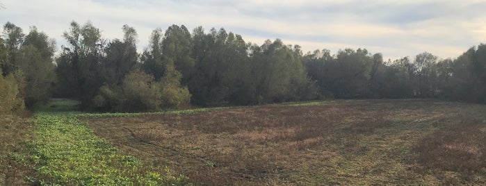 Duck hole stand is one of Mark : понравившиеся места.