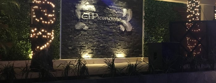 El Piamonte is one of Locais curtidos por Chio.