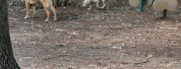 Area de perros parque tlacoquemecatl is one of Luis Arturo 님이 좋아한 장소.