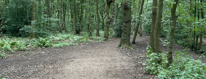 Golden Acre Park is one of Dog Walking Spots in Yorkshire.