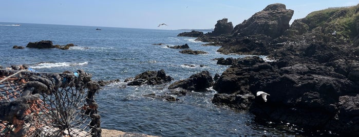 St Abbs Harbour is one of Scotland Other.