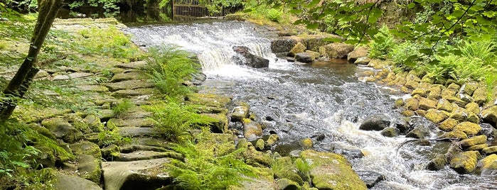 Hardcastle Crags is one of My National Trust Visits.