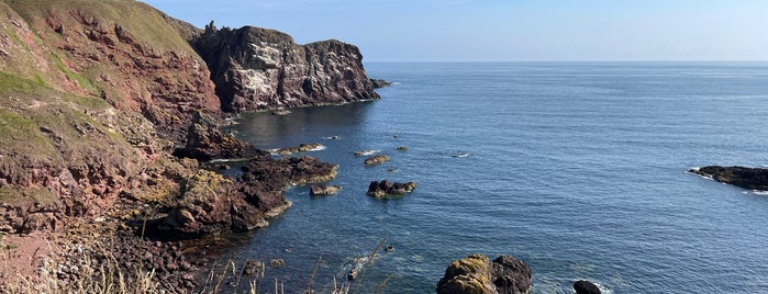 St Abb's Head is one of Scotland.