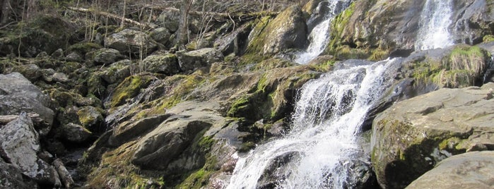 Dark Hollow Falls is one of Lugares guardados de Mary.