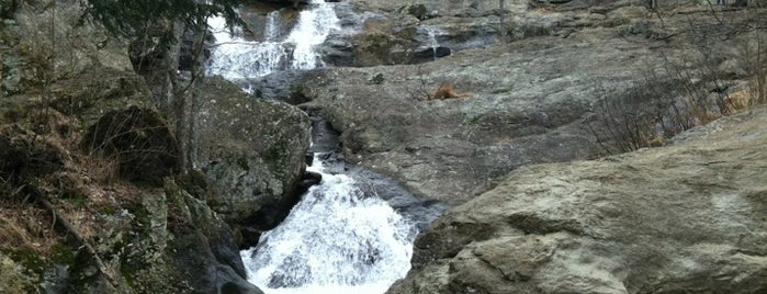 Cunningham Falls State Park is one of สถานที่ที่บันทึกไว้ของ Mary.