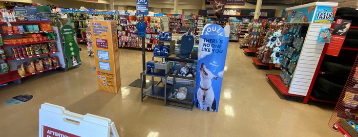 Petco is one of All Pet Sites.