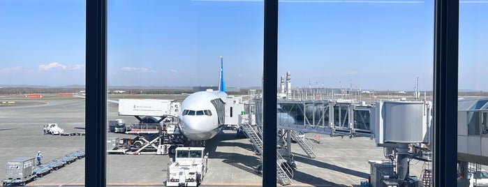 Gate 10 is one of 空港のスポット.
