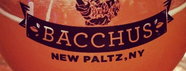 Bacchus Restaurant & Bar is one of New Paltz, NY.
