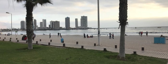 playa iquique is one of plowickさんのお気に入りスポット.