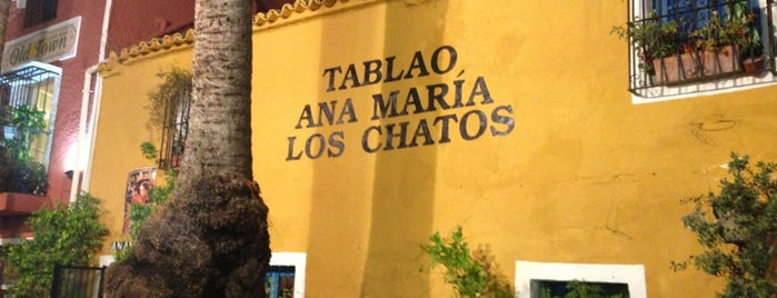 Tablao Ana Maria Los Chatos is one of Marbella.