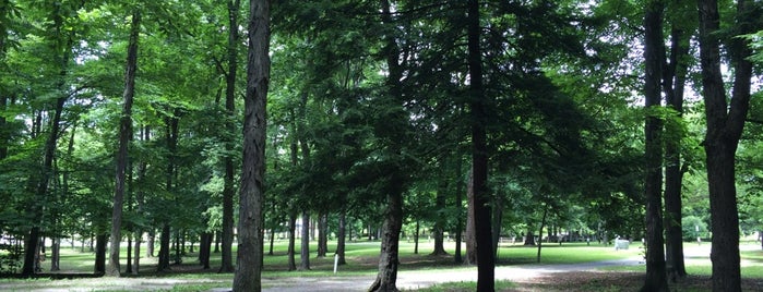 Crichton-McCormick Park is one of Tempat yang Disukai Bing.