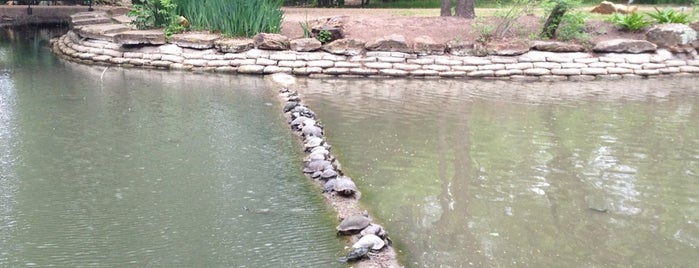 Turtle Pond is one of สถานที่ที่บันทึกไว้ของ Rowan.