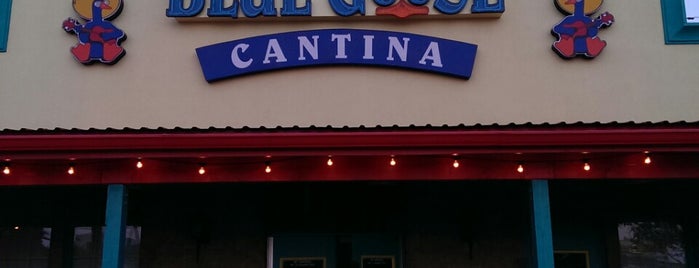 Blue Goose Cantina is one of Lieux qui ont plu à Roberto.