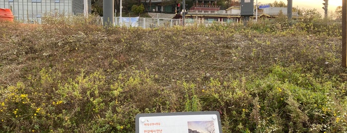 Yonghwasa is one of Buddhist temples in Gyeonggi.