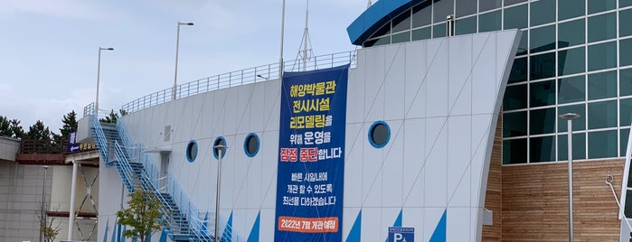 화진포 해양박물관 is one of 가자_동쪽.