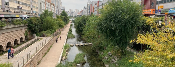 Cheonggyecheon Stream is one of Hart and Seoul.