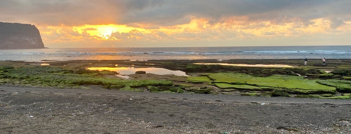 광치기해변 is one of Jeju.