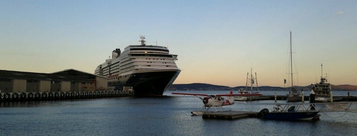 ms Oosterdam In Hobart is one of Cruise.