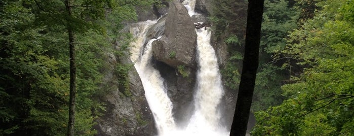 Bash Bish Falls is one of Things to do with family when they're in town.