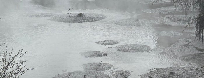 Mud Pool is one of New Zealand.