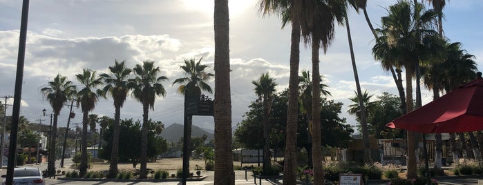 Cuervo's House is one of Lieux qui ont plu à Irma.