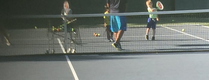 Pleasanton Tennis & Community Park is one of usuals.
