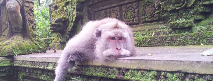 Sacred Monkey Forest Sanctuary is one of Visit and Traveling @ Indonesia..
