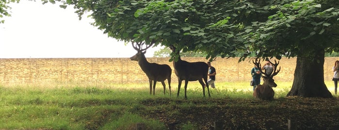 Bushy Park is one of EU - Attractions in Great Britain.