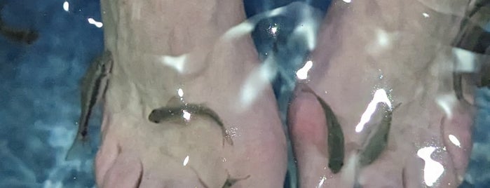 Doctor Fish is one of Greece 🇬🇷 & Malta 🇲🇹.