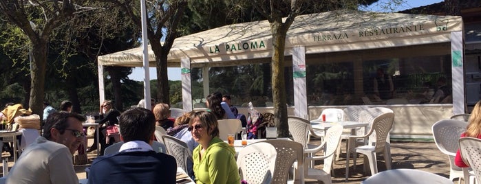 Terraza-Restaurante "La Paloma" is one of Bares y Restaurantes.