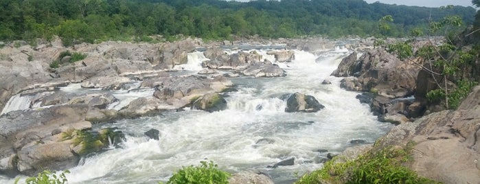 Potomac River - Great Falls is one of Dion : понравившиеся места.