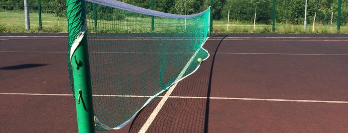 Теннисные корты на Борисовских прудах is one of Спорт.