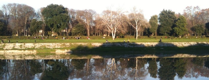 Parco delle Cascine is one of to do when in florence.