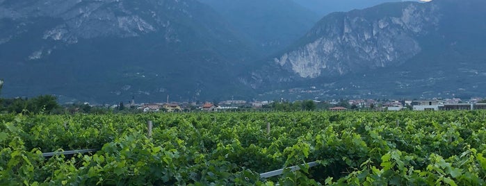 Alla Grotta is one of riva del garda.