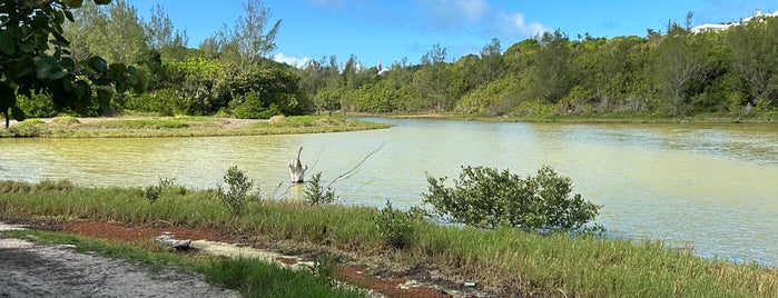 Spittal Pond is one of Bermuda.