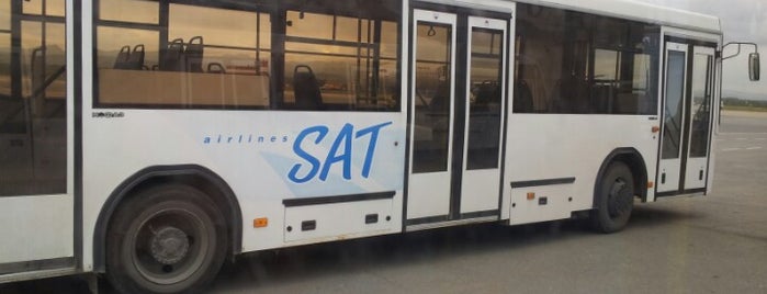 Автобус В Аэропорту is one of สถานที่ที่ Таня ถูกใจ.
