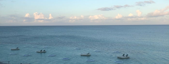 Grand Cayman Marriott Beach Resort is one of Grand Cayman.