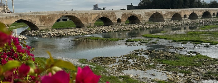 Taş Köprü is one of Adana-Antep-Urfa-Mardin.