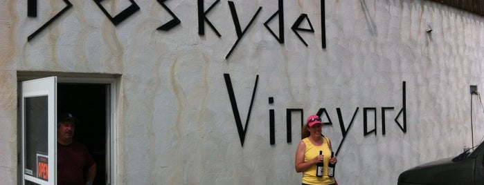 Boskydel Vineyard is one of Wineries.