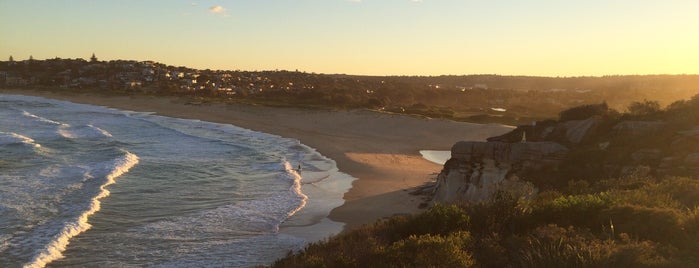 Dee Why Head is one of Lieux qui ont plu à Thierry.