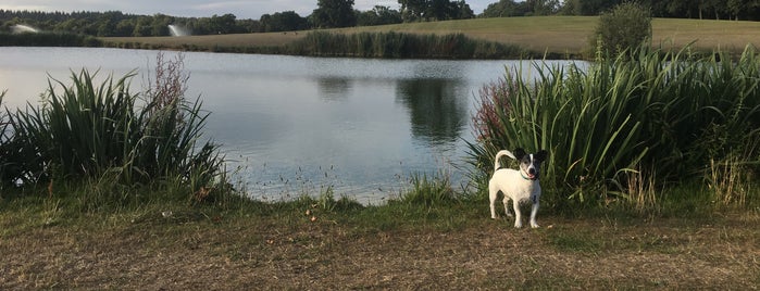 Polo Field is one of Sさんのお気に入りスポット.