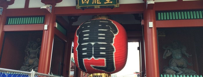 Kaminarimon Gate is one of Tokyo culture.