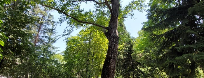 Πάρκο Καταρρακτών is one of Locais salvos de Spiridoula.