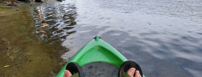 Crystal River National Wildlife Refuge is one of Paulaさんのお気に入りスポット.