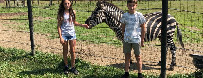 Action Wildlife Foundation is one of Fun things to do in Connecticut.