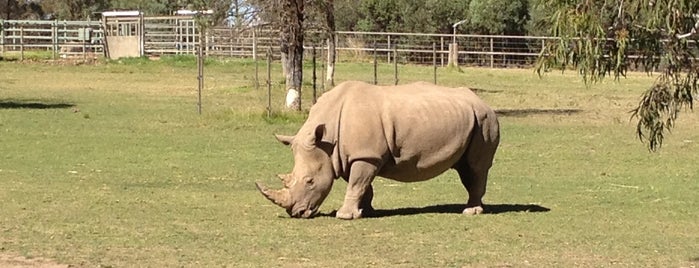 Taronga Western Plains Zoo is one of Fun Stuff for Kids around NSW.