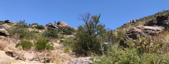 Granite Mountain Hotshots Memorial Park is one of Orte, die Greg gefallen.