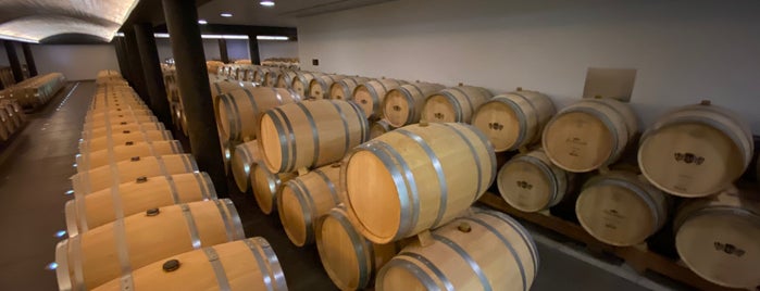 Clos Apalta Winery is one of Lugares favoritos de Antonio Carlos.