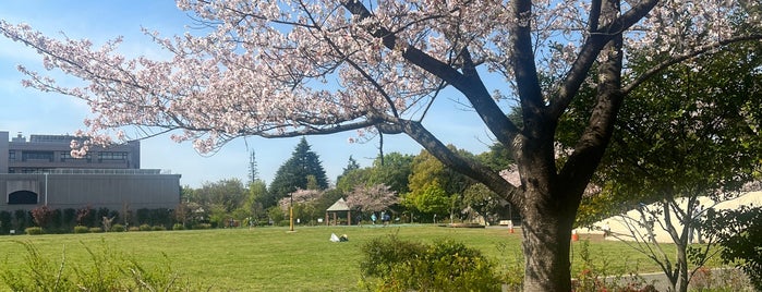 Heiwa no Mori Park is one of 東京_公園.